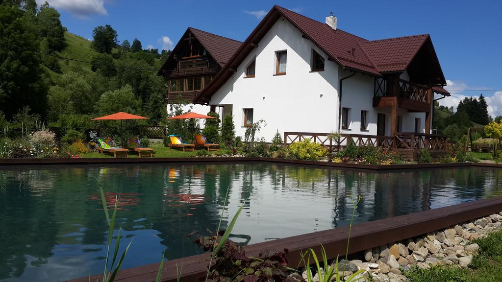 Gallery Of Mountains Holiday Home Yasinya Extérieur photo
