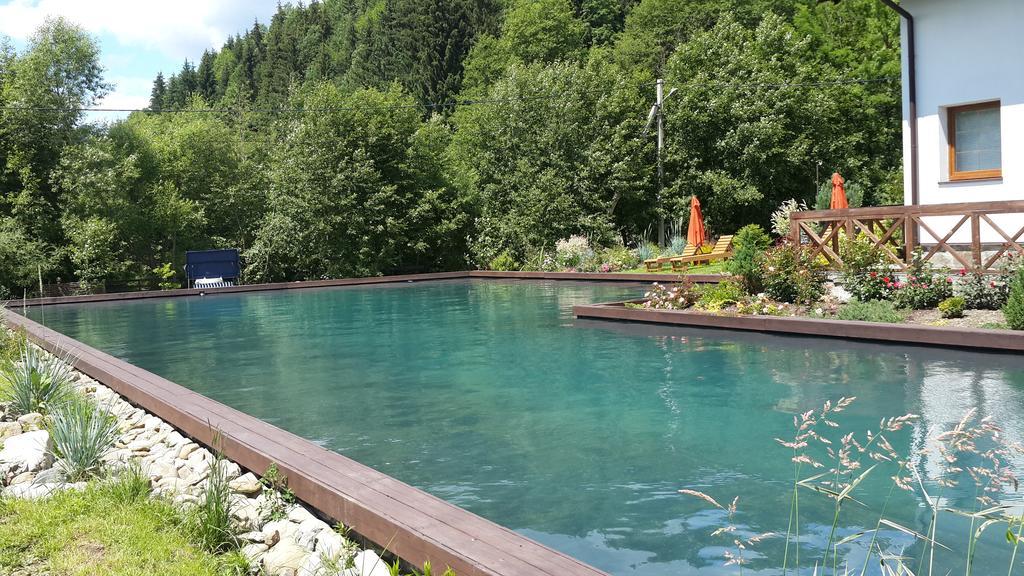 Gallery Of Mountains Holiday Home Yasinya Extérieur photo