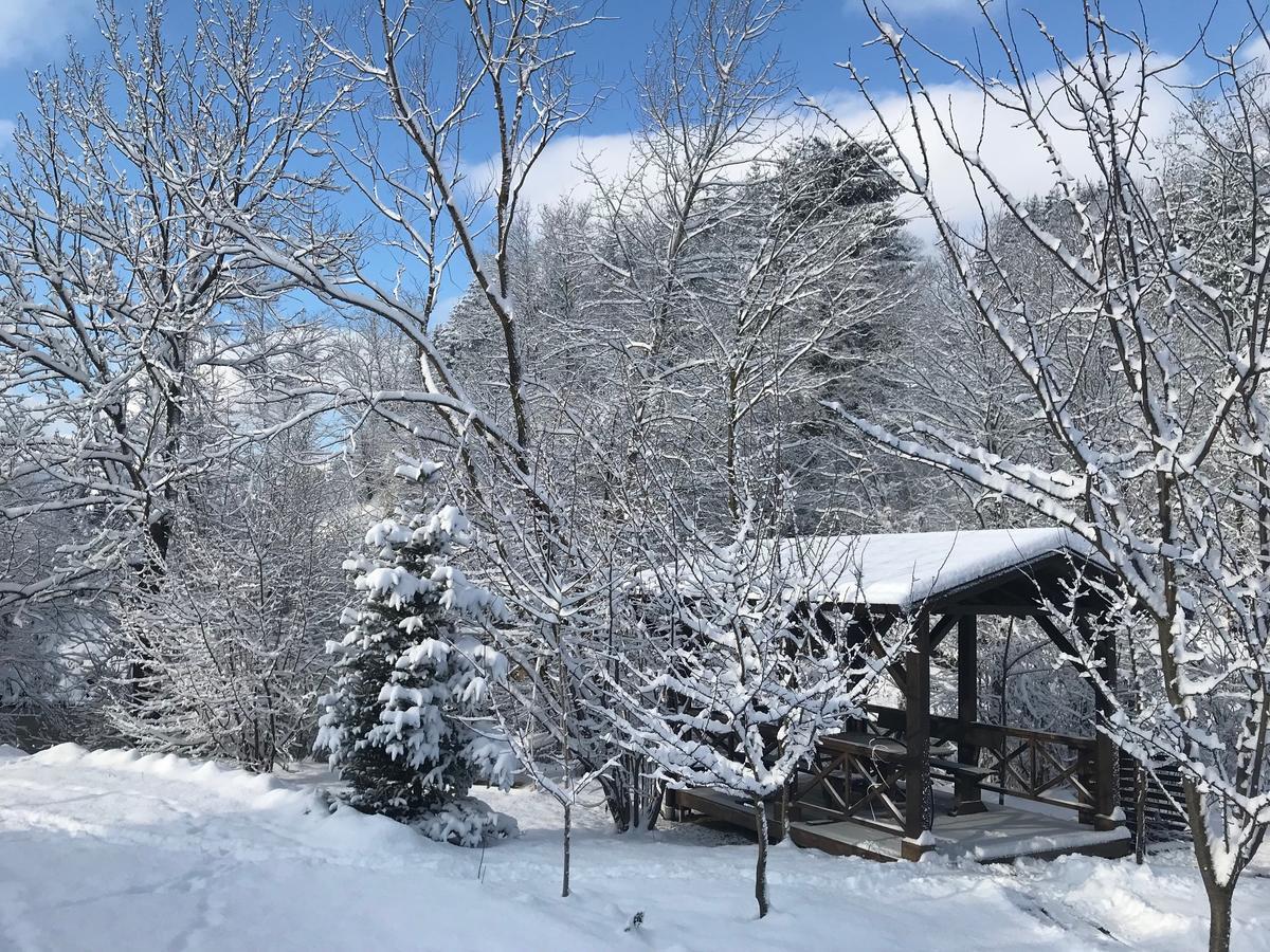Gallery Of Mountains Holiday Home Yasinya Extérieur photo